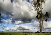 开云下载-德国队碾压日本队，马琳扛起全队